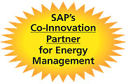 SAP co-innovation logo